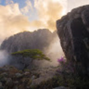 Meet your Posher, Gavin